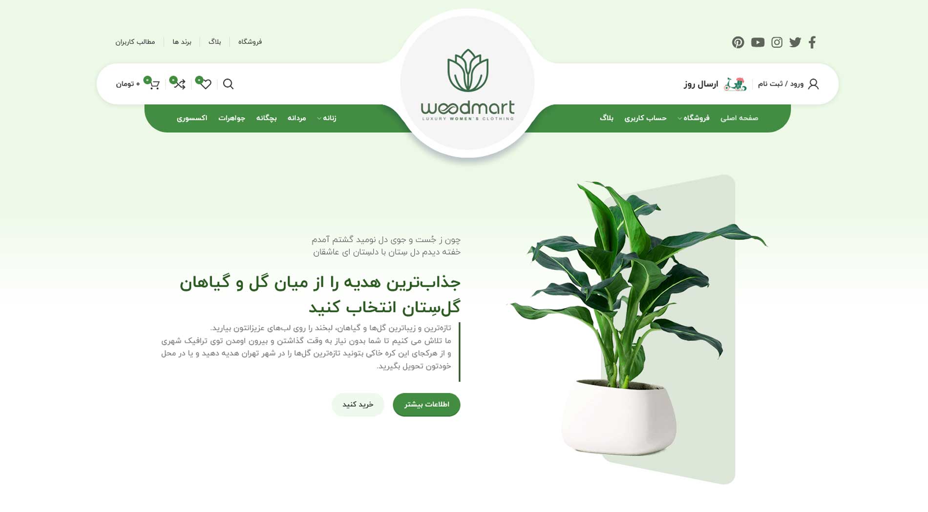 طراحی سایت فروش گیاهان آپارتمانی