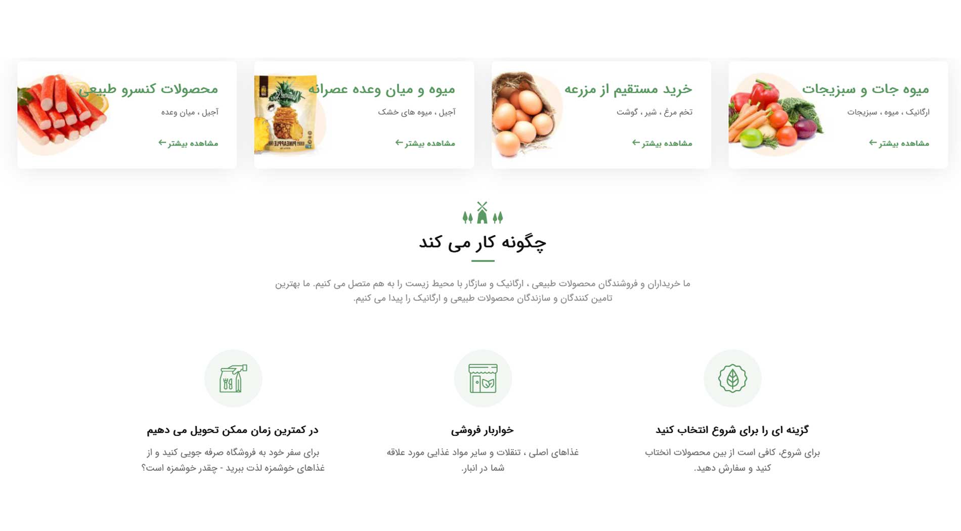 طراحی سایت فروش مواد غذایی