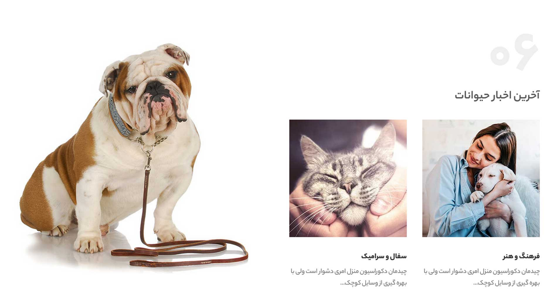 طراحی سایت فروش لوازم حیوانات 